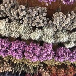 bar NAYA - お母様の作った天井のドライフラワー