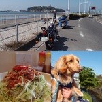 がじゅまる童 - タコライスM550円