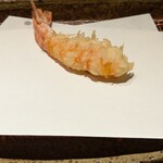 みかわ 是山居 - 車海老（尾）x2