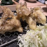 たつの申し子 - 