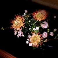 段屋鈴江 - 