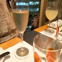 Benoit Alain Ducasse - 