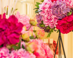 Laguna Veil Nagoya photo 5