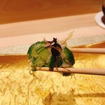 鮨 富かわ - 職人技