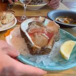 Trattoria Da KENZO - 超ビッグな生ガキ