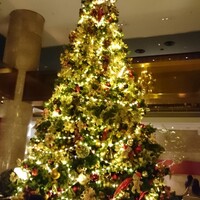 ロビーラウンジ 「マーブルラウンジ」 ヒルトン東京 - 