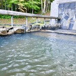 湯元館 - 緑色に見える還元性鉄の新鮮な温泉。極上湯。