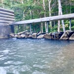 湯元館 - 緑色に見える還元性鉄の新鮮な温泉。極上湯。