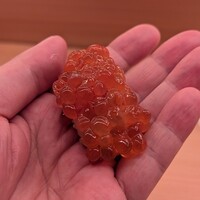 鮨おにかい＋1 - 