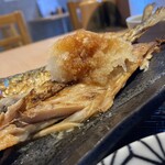 下北SABA食堂 佐助酒場 - 金華さば開き定食