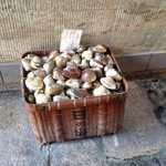 日の出 - 入口横に置いてある、蛤の殻