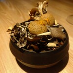 レスピラシオン - 