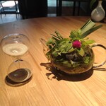 レスピラシオン - 