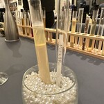 プレゼンテ スギ - 