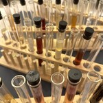 プレゼンテ スギ - 