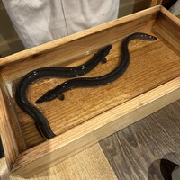 にょろ助 銀座 - 