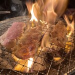 ハラミの向こう側 - 