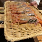 恵比寿 鮨 ふじまさ - 