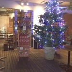 イタリアンレストラン 渋谷ズッカ - クリスマスが近づくと大きな生のもみの木が