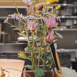 赤坂おぎ乃 - 季節のお花