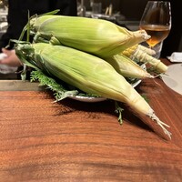 スガラボヴィー - 