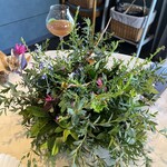 ノノカ レストラン - 