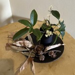 ノノカ レストラン - 