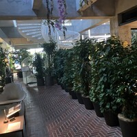 SHIROIYA the RESTAURANT - 