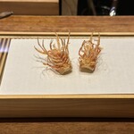 天婦羅 みやしろ - 