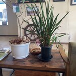 Trattoria il pirata - 