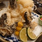 寿し×海鮮酒場 酔灯屋 - 