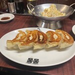 餃子専門店 藤井屋  - 