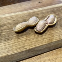 HAGI - 