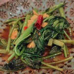 シントンキー・ボタニカル - 