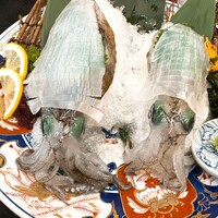 割烹 かじ 本店 - 