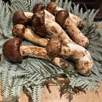 富小路 やま岸 - 