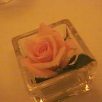 日比谷パレス - 卓上には可憐なピンクの薔薇