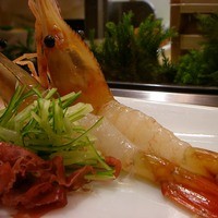 伊勢鮨 - ぼたんえび