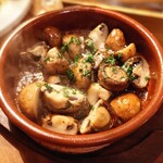 CASALINA - マッシュルームのブランチャ〜ガーリック風味〜