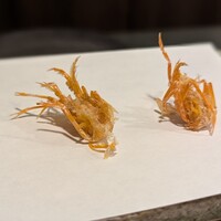 天白 - 