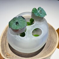 リストランテ スギヤマ - 