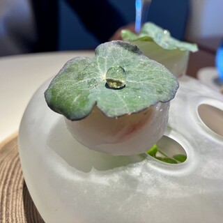 リストランテ スギヤマ_1