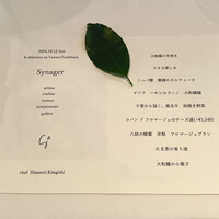 Synager - 