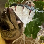 御園 - お魚はコリコリしてます