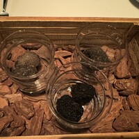 Terres de Truffes, Tokyo - 