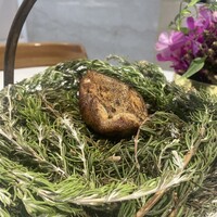 macua - 