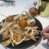 macua - 