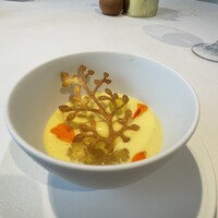macua - 
