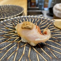 鮨 権左衛門 - 釣りキンキ