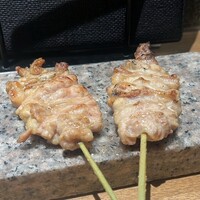 始祖鳥 - 
